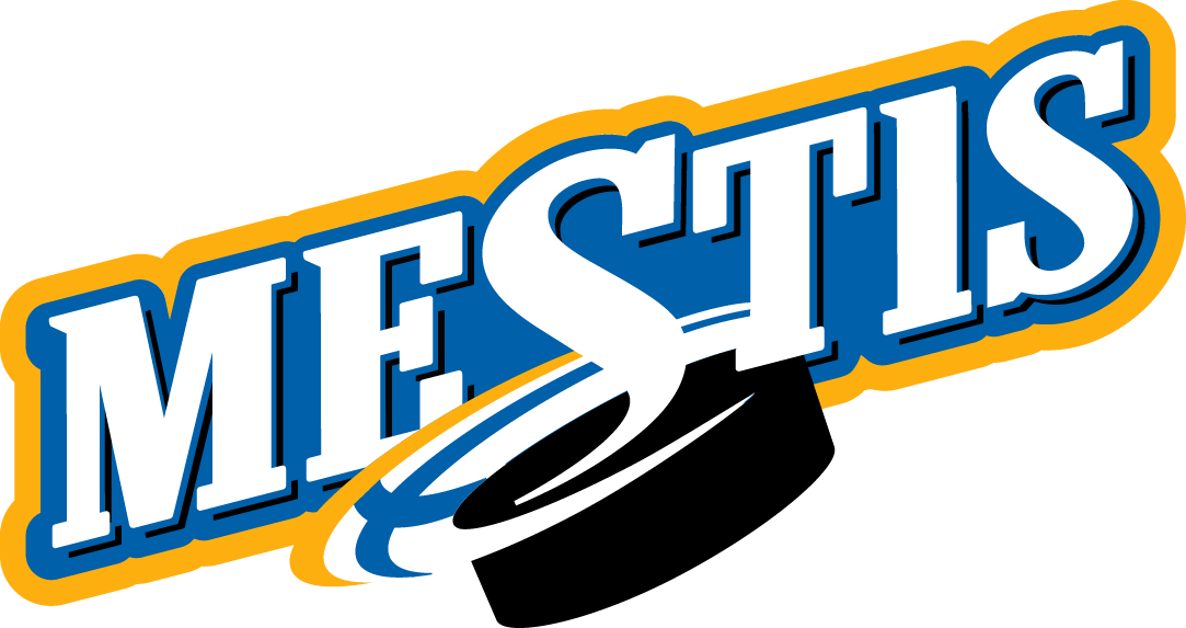 Mestis 2000-2015 Primary Logo iron on transfers for T-shirts